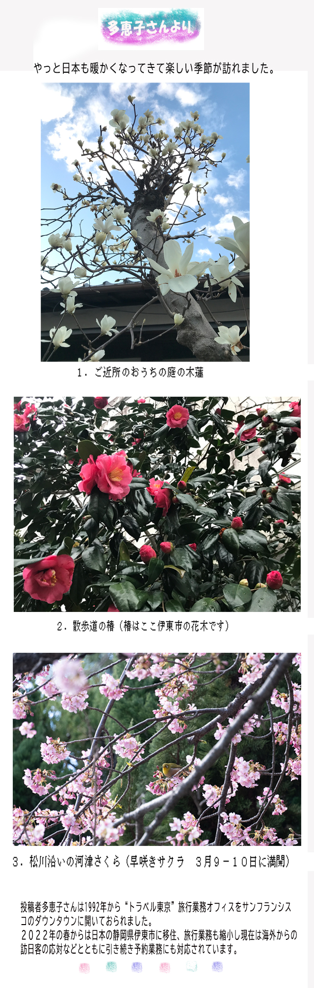 多恵子