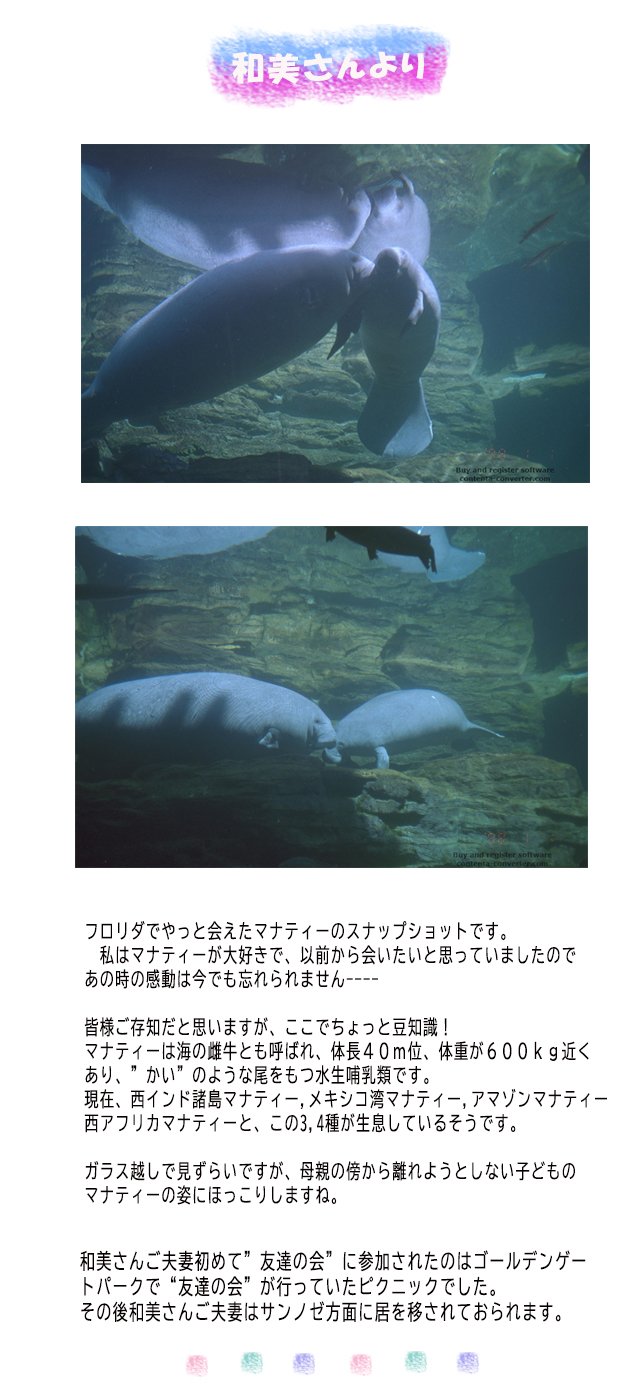 ようこ