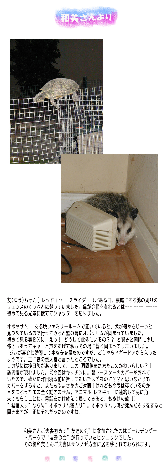 ようこ