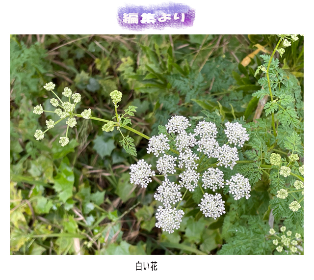 範子