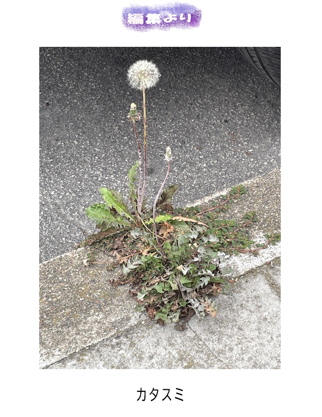 範子