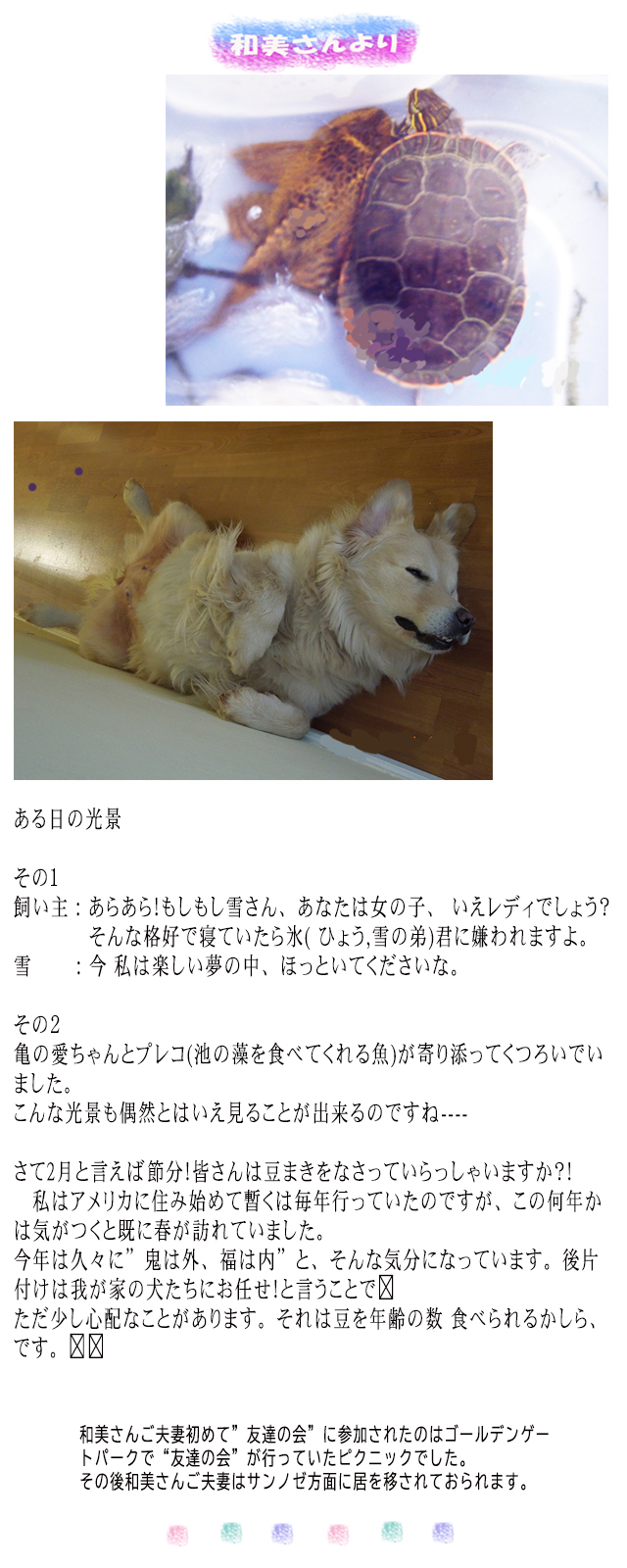ようこ