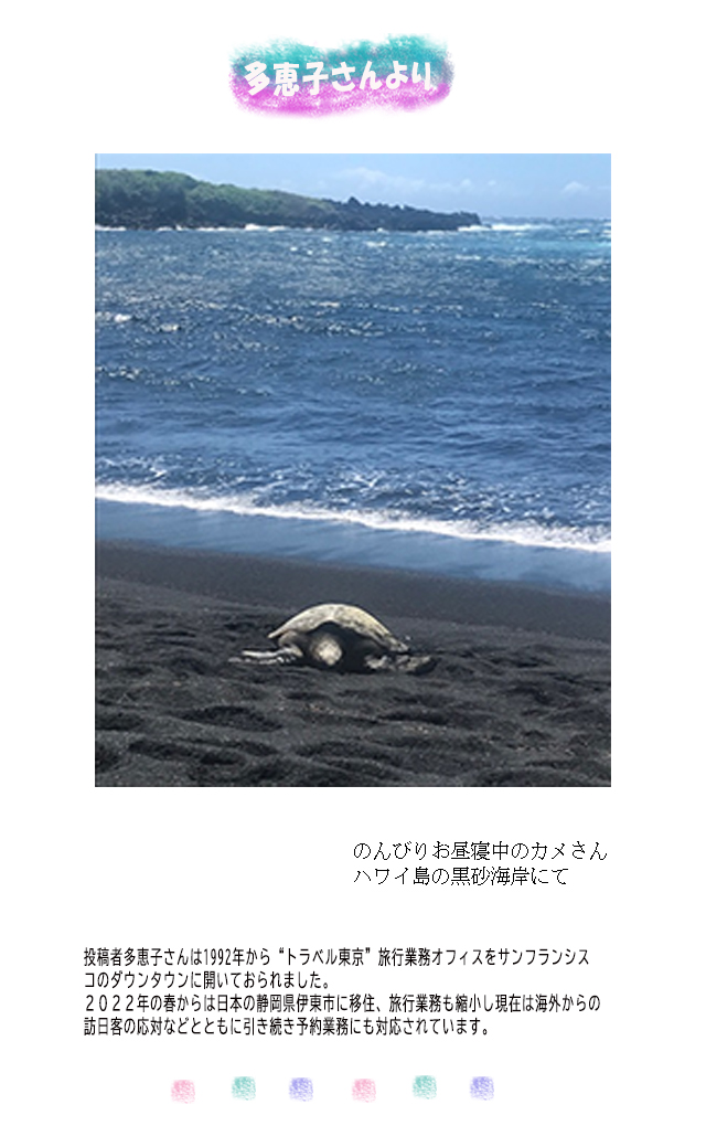 ようこ