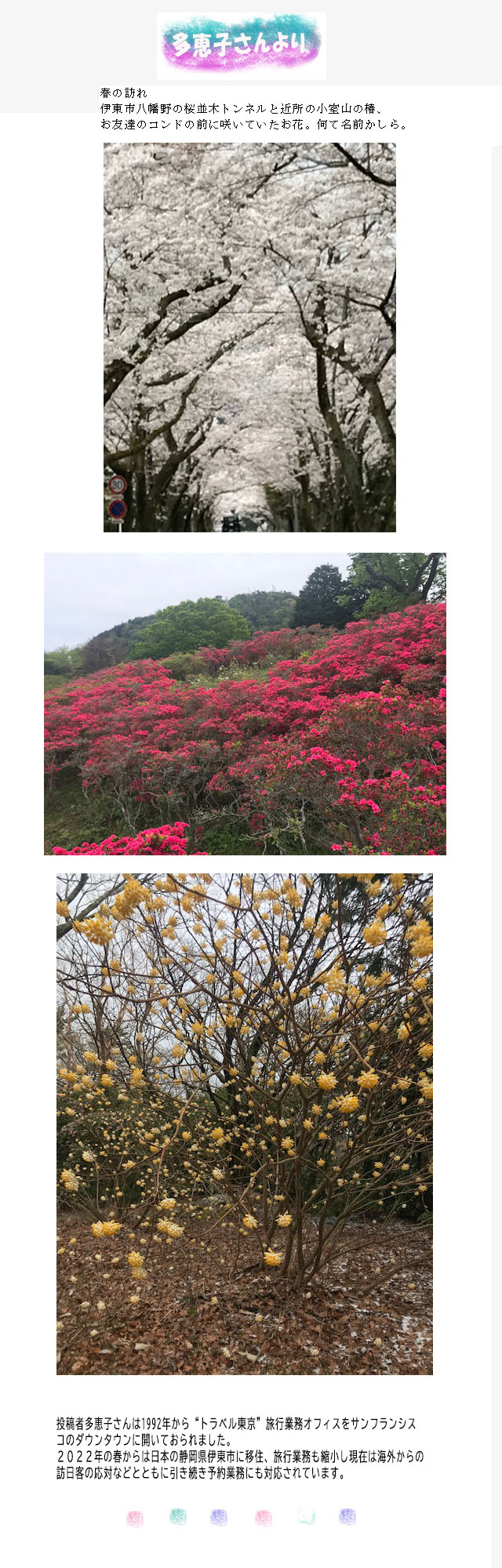 多恵子